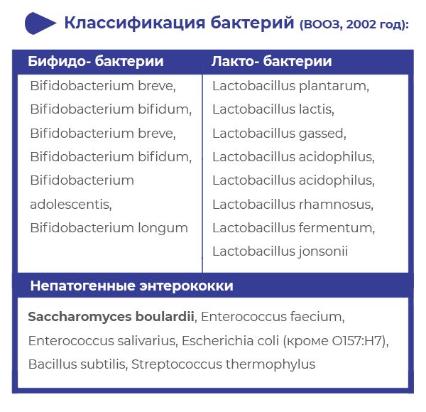 Сахаромицеты, лактобактерии и Бифидобактерии